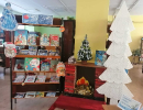 Новогодняя книжная выставка в центральной детской библиотеке